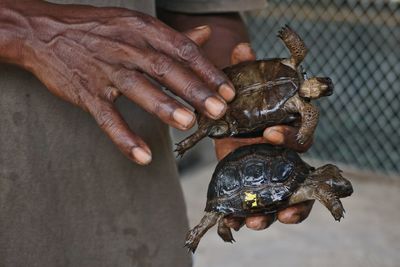 Man holding fish