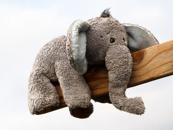 Close-up of elephant shape stuffed toy on wooden plank against clear sky