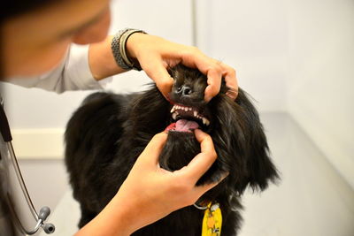 Midsection of woman holding black dog