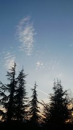 Low angle view of silhouette trees against sky at sunset