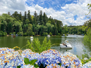 Scenic view of lake against cloudy sky