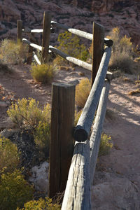 High angle view of wooden post on tree stump