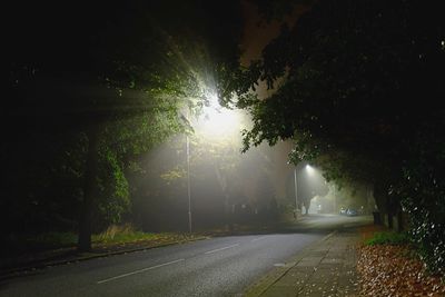 Road along trees at night