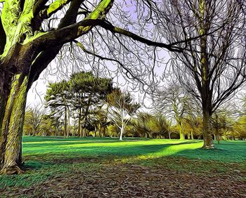 Trees in park