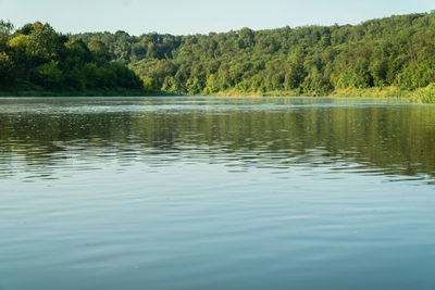 Scenic view of lake in forest