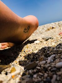 Low section of woman relaxing on pebbles at beach with tatto cat