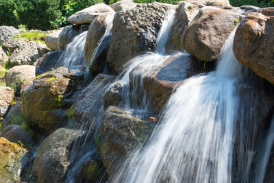 Scenic view of waterfall in forest