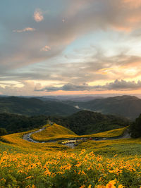 Scenic view of field against sky during sunset