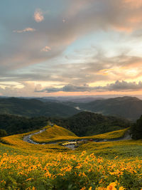 Scenic view of field against sky during sunset