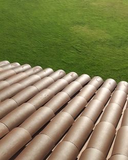 High angle view of grass
