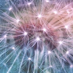 Full frame shot of firework display