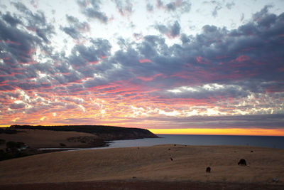 Scenic view of beach against sky during sunset