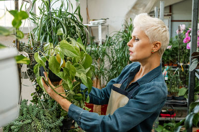 Botanist examining plants at grenhouse. she examining small seedlings.