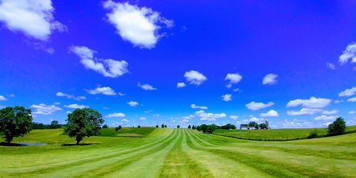 Panoramic view of field against blue sky