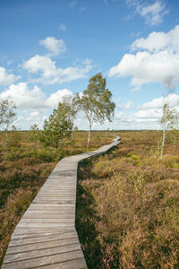 Boardwalk amidst plants and trees against sky