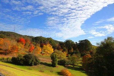 Scenic view of landscape against cloudy sky