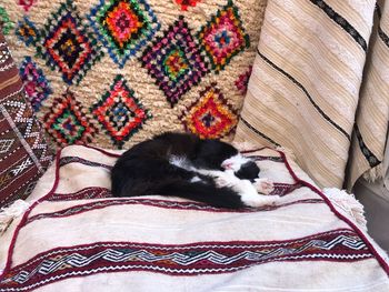 High angle view of cat sleeping on bed