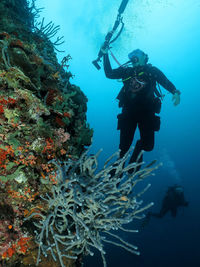 Scuba diving in sea