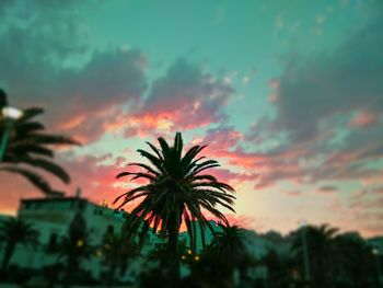 Low angle view of silhouette palm trees against orange sky