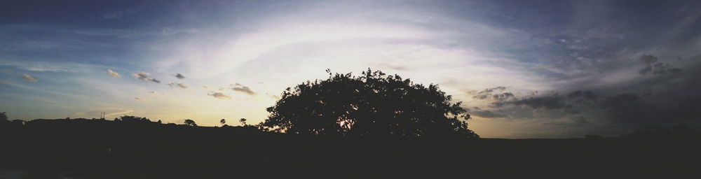 Silhouette of trees against cloudy sky