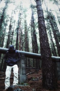 Man by tree in forest