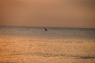 Scenic view of sea against clear sky during sunset