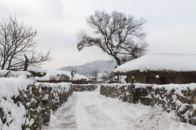 Bare trees on snow covered landscape against sky