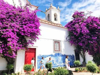 Purple flowering tree by building against sky