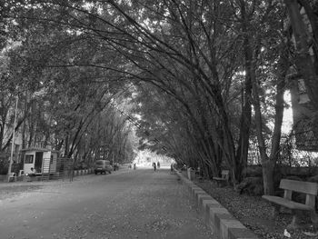 Road amidst trees in city