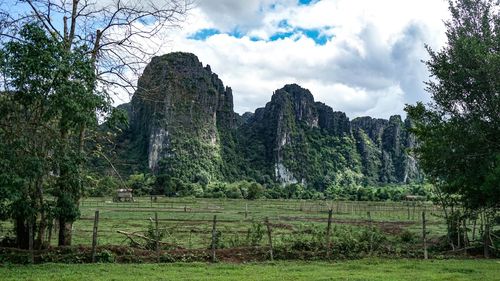 Scenic view of field against sky