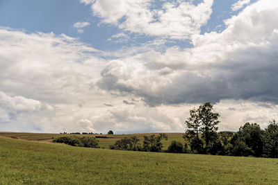 Scenic view of field against sky