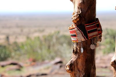 Close-up of masai jewellery on tree trunk