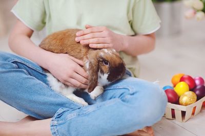 Midsection of man holding dog