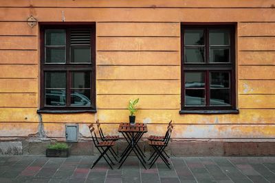 Potted plant on window of building