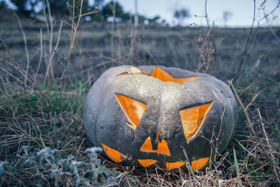 Close-up of pumpkin on field