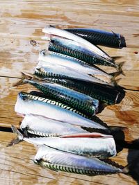 High angle view of fish on table