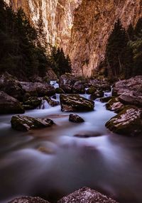 Stream flowing through rocks in forest