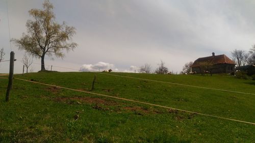 Scenic view of field against sky