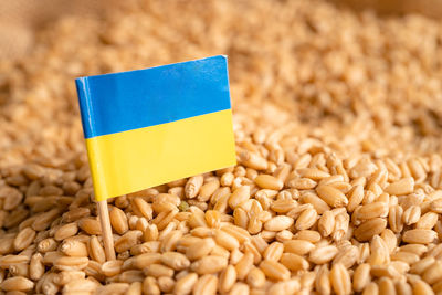 Grains wheat with ukraine flag, trade export and economy concept.