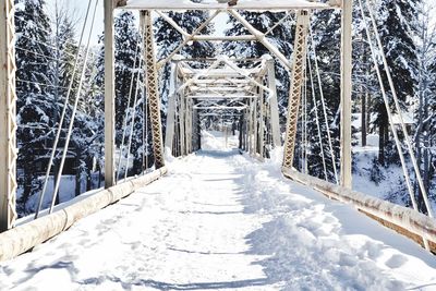 Snow covered bridge amidst trees in winter during winter