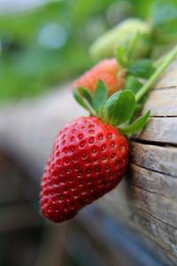 Close-up of strawberries