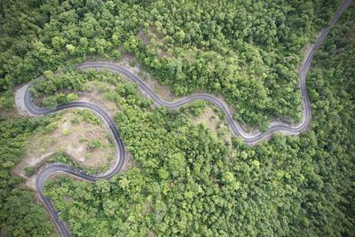 High angle view of road in forest 