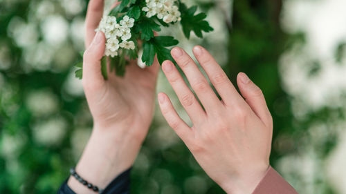 Close-up of woman hand holding flowering plant