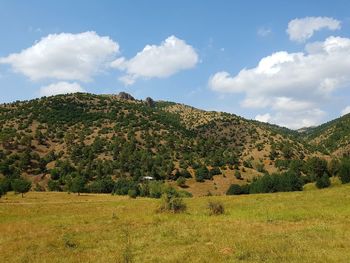 Scenic view of landscape against cloudy sky