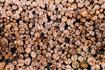 Full frame image of firewood