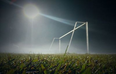 Trees on field