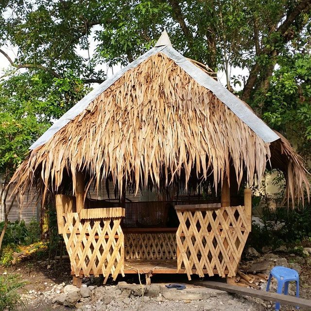 tree, built structure, sunlight, growth, architecture, no people, day, outdoors, building exterior, nature, house, wood - material, tranquility, plant, art and craft, art, tree trunk, palm tree, abandoned, old