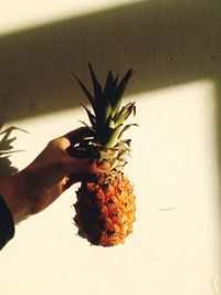 Close-up of hand holding fruit