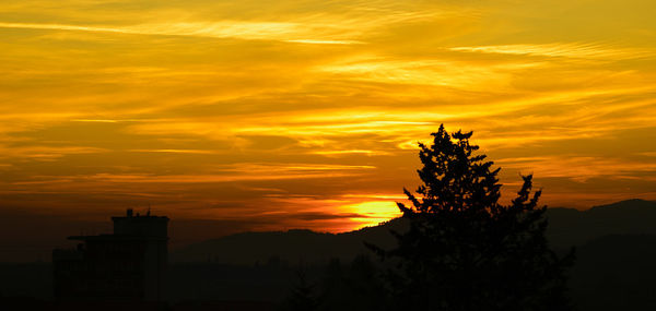 Silhouette tree against orange sky