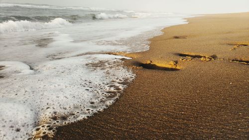 Scenic view of beach